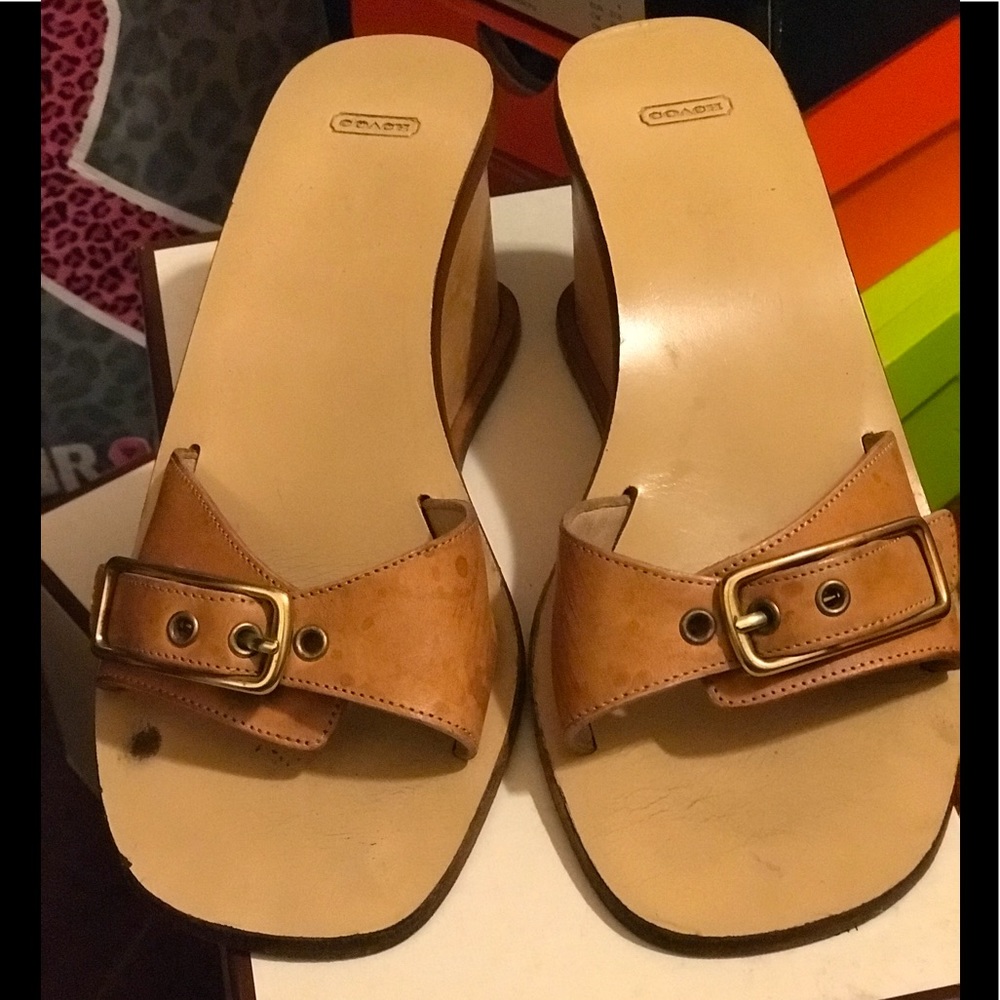 Honey Kerala Clf